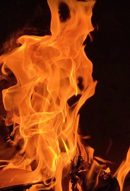 लोहड़ी – Lohri Festival